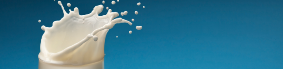 Milch 906x220